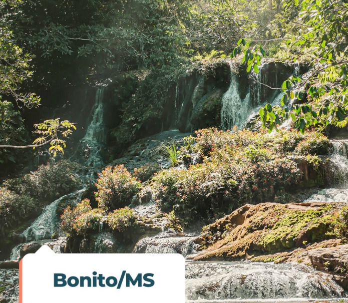 Bonito